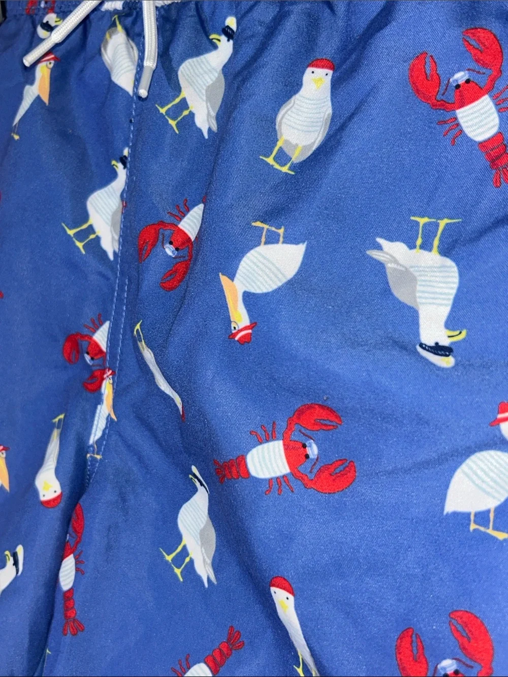 Boy’s Jamie and Jack Blue Seagull & Lobster Swim Shorts